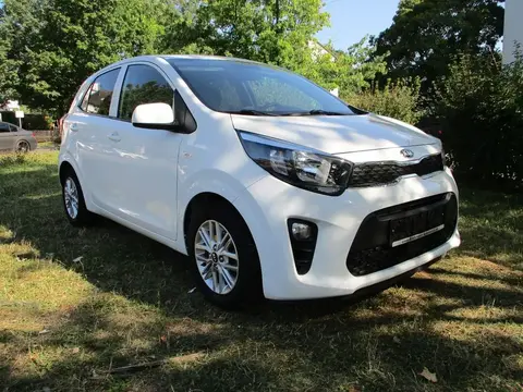 Used KIA PICANTO Petrol 2021 Ad 