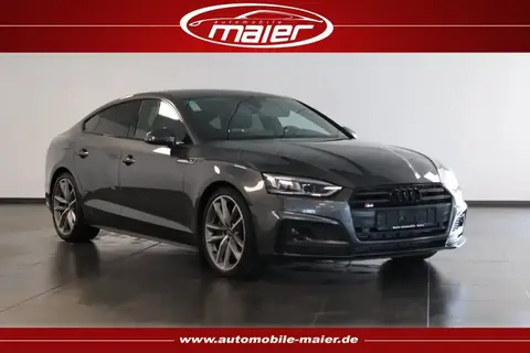 Used AUDI S5 Diesel 2019 Ad 