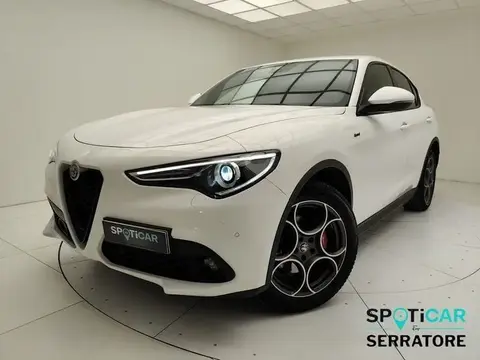 Used ALFA ROMEO STELVIO Diesel 2020 Ad 