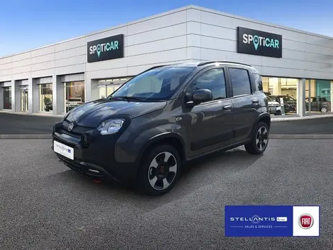 Used FIAT PANDA Petrol 2024 Ad 