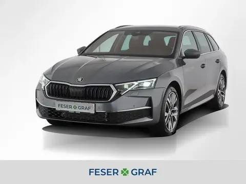 Annonce SKODA OCTAVIA Essence 2024 d'occasion 