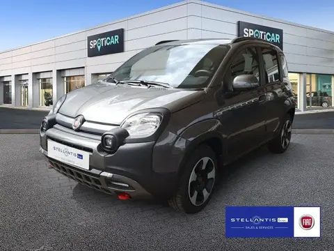 Annonce FIAT PANDA Essence 2024 d'occasion 