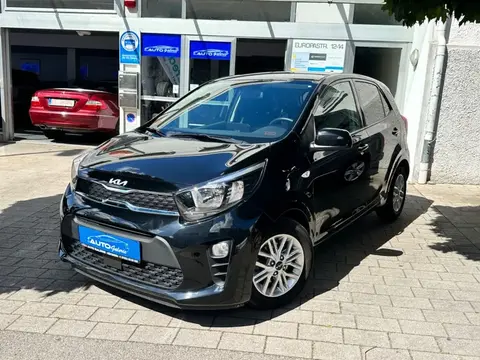 Annonce KIA PICANTO Essence 2021 d'occasion 