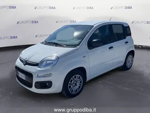 Annonce FIAT PANDA  2019 d'occasion 