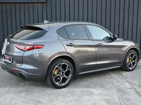 Annonce ALFA ROMEO STELVIO Diesel 2020 d'occasion 