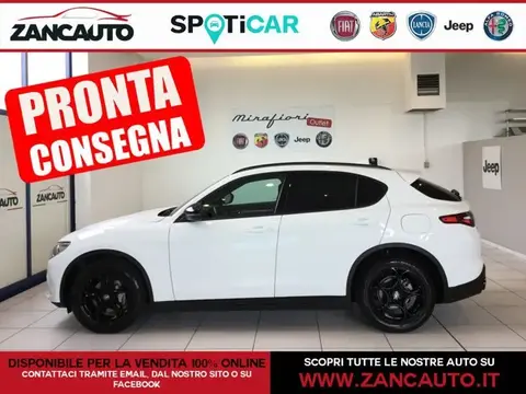 Used ALFA ROMEO STELVIO Diesel 2022 Ad 