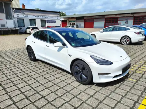 Annonce TESLA MODEL 3 Non renseigné 2019 d'occasion 