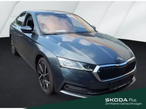 Used SKODA OCTAVIA Petrol 2021 Ad 