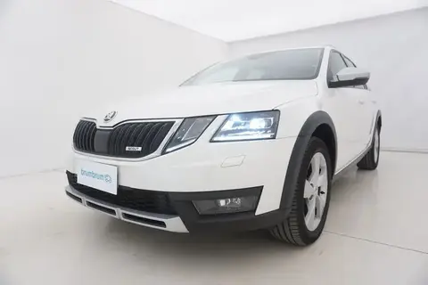 Annonce SKODA OCTAVIA Diesel 2018 d'occasion 