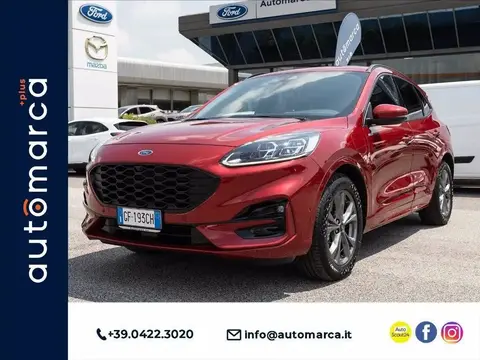 Used FORD KUGA Hybrid 2021 Ad 