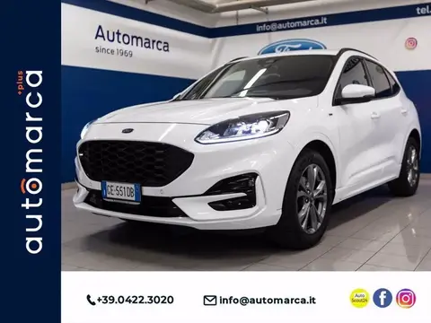 Used FORD KUGA Diesel 2021 Ad 