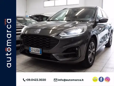 Used FORD KUGA Petrol 2021 Ad 