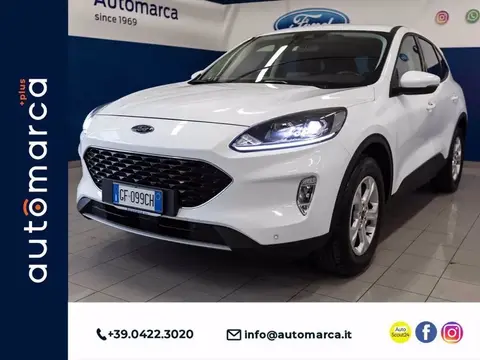 Annonce FORD KUGA Essence 2021 d'occasion 