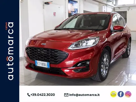 Annonce FORD KUGA Essence 2020 d'occasion 