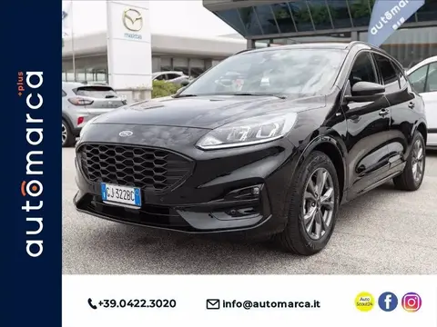 Used FORD KUGA Hybrid 2022 Ad 