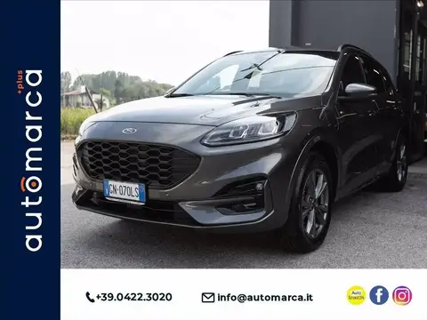 Used FORD KUGA Hybrid 2023 Ad 