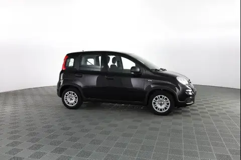 Used FIAT PANDA Hybrid 2024 Ad 