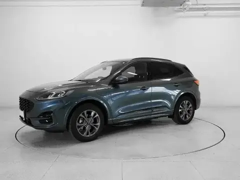 Used FORD KUGA Hybrid 2023 Ad 