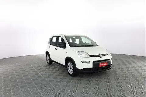 Used FIAT PANDA Hybrid 2024 Ad 