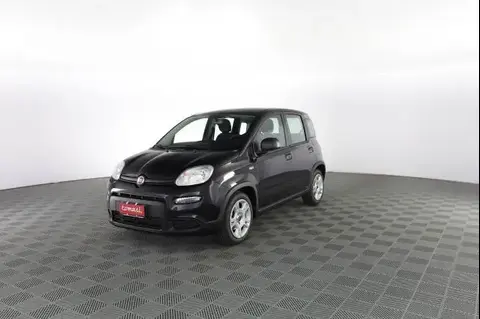 Annonce FIAT PANDA Hybride 2024 d'occasion 