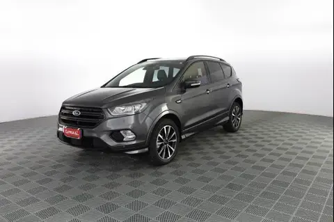 Used FORD KUGA Diesel 2019 Ad 