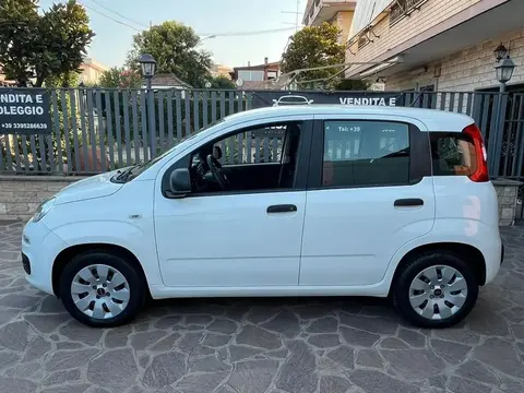 Annonce FIAT PANDA Essence 2018 d'occasion 