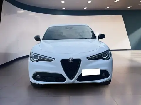 Used ALFA ROMEO STELVIO Diesel 2021 Ad 