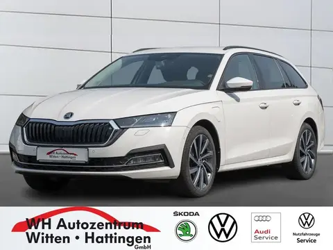 Annonce SKODA OCTAVIA Hybride 2021 d'occasion 