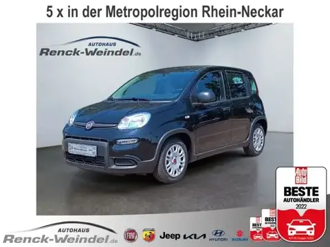 Used FIAT PANDA Hybrid 2024 Ad 