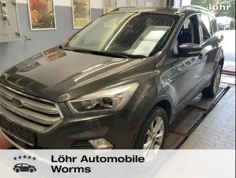 Used FORD KUGA Petrol 2019 Ad 