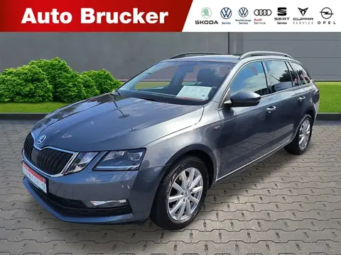 Used SKODA OCTAVIA Diesel 2019 Ad 