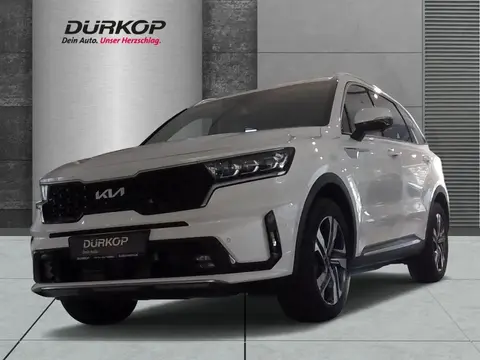 Annonce KIA SORENTO Hybride 2024 d'occasion 