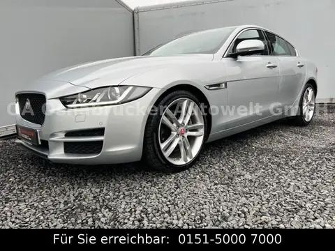 Annonce JAGUAR XE Diesel 2016 d'occasion 