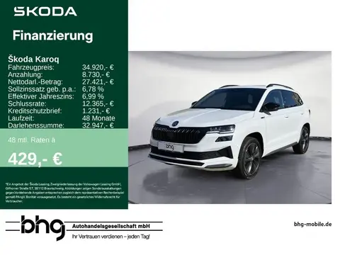 Used SKODA KAROQ Diesel 2023 Ad 