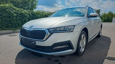 Used SKODA OCTAVIA Diesel 2020 Ad 