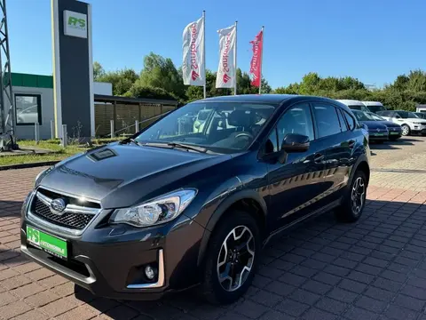 Annonce SUBARU XV Diesel 2016 d'occasion 