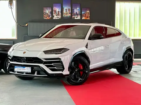 Used LAMBORGHINI URUS Petrol 2019 Ad 