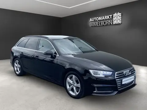 Used AUDI A4 Diesel 2019 Ad Germany