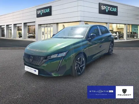 Used PEUGEOT 308 Hybrid 2023 Ad 