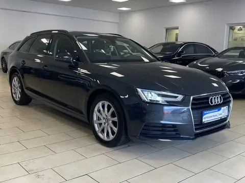 Used AUDI A4 Diesel 2019 Ad Germany