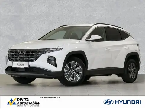 Used HYUNDAI TUCSON Hybrid 2023 Ad 