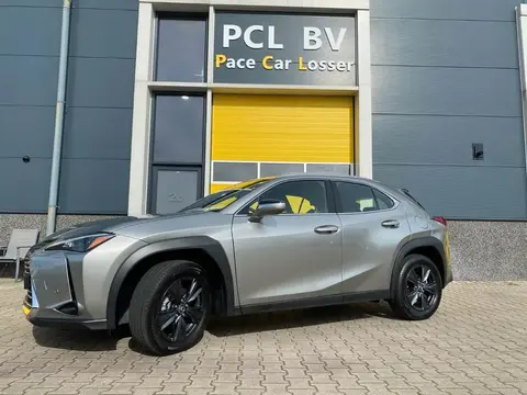 Annonce LEXUS UX Essence 2023 d'occasion 