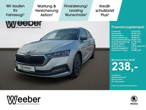 Used SKODA OCTAVIA Diesel 2023 Ad 