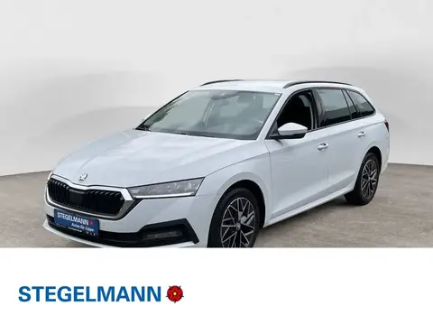 Annonce SKODA OCTAVIA Essence 2023 d'occasion 