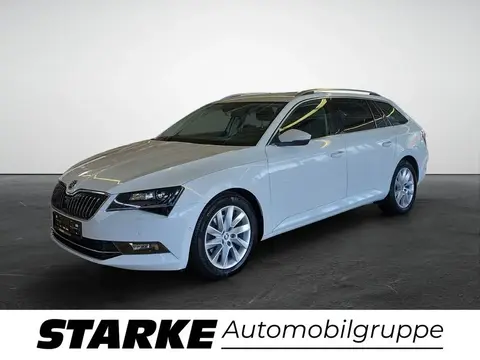 Annonce SKODA SUPERB Diesel 2019 d'occasion 