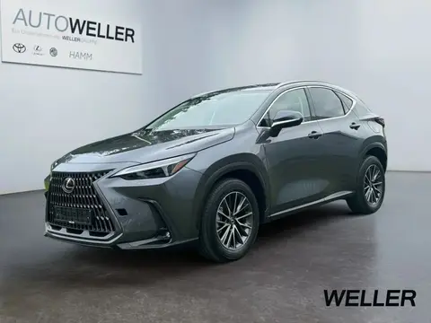 Used LEXUS NX Hybrid 2024 Ad 