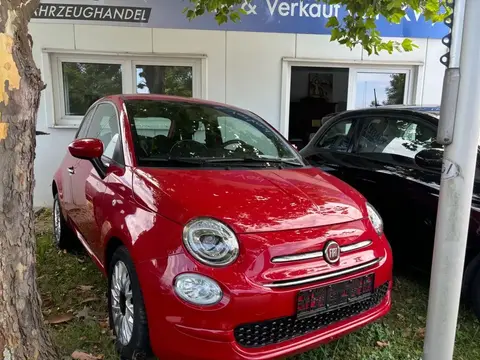 Used FIAT 500 Petrol 2021 Ad 