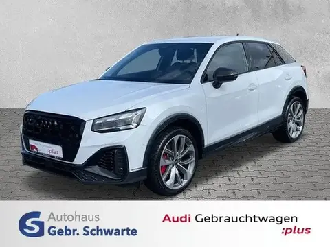 Annonce AUDI SQ2 Essence 2023 d'occasion 