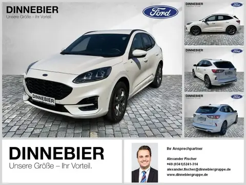 Used FORD KUGA Hybrid 2021 Ad 