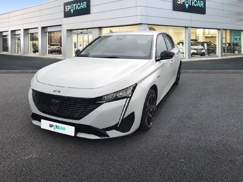 Used PEUGEOT 308 Hybrid 2023 Ad 